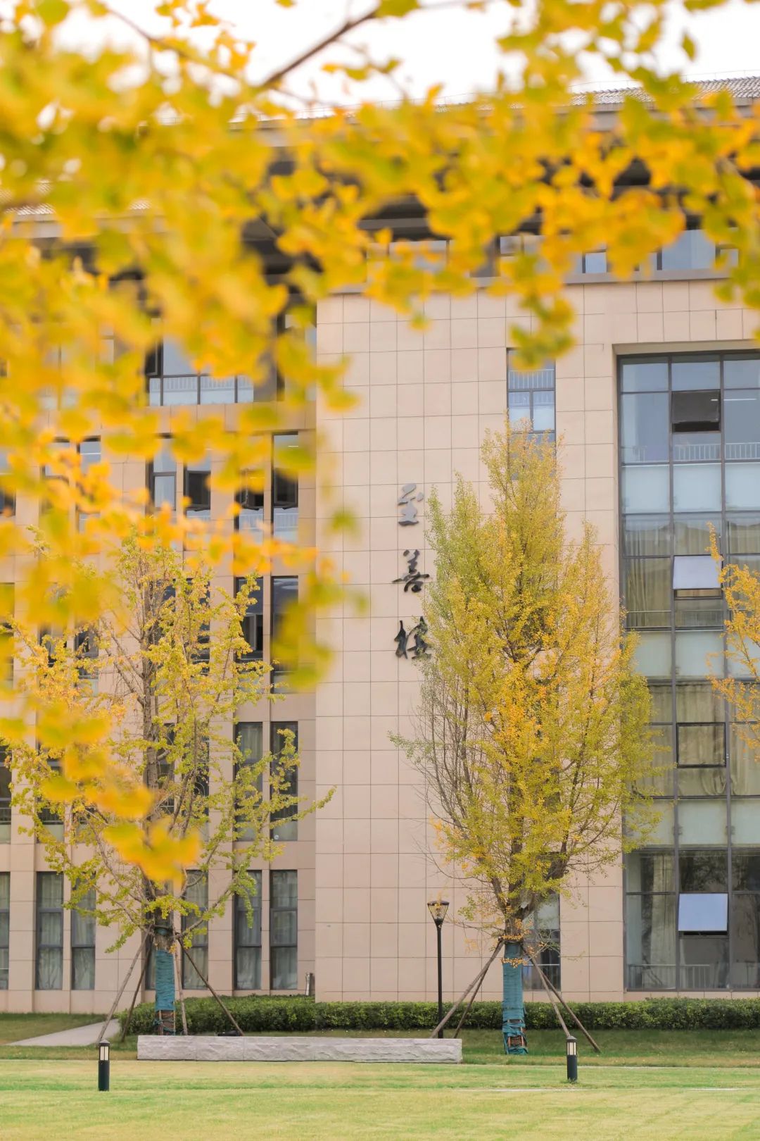 周末你好｜全新恩施學(xué)院秋日壁紙，無瑕！免費出！