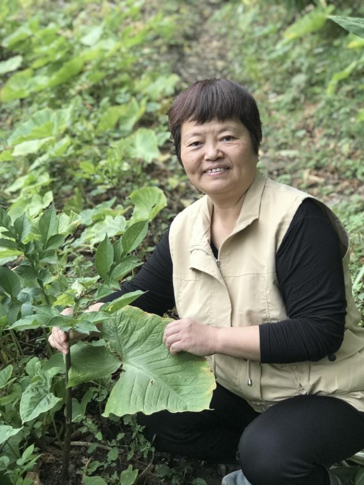 師者風(fēng)華|獲2022年度學(xué)科競賽指導(dǎo)獎教師特輯(五) 師者風(fēng)華|獲2022年度學(xué)科競賽指導(dǎo)獎教師特輯(五)