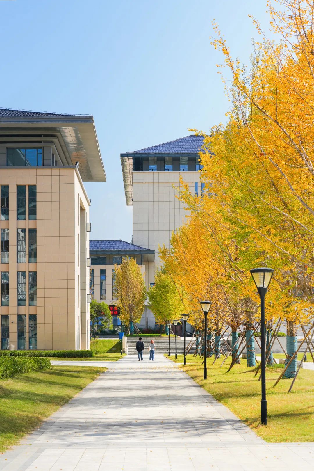 周末你好｜全新恩施學(xué)院秋日壁紙，無瑕！免費出！