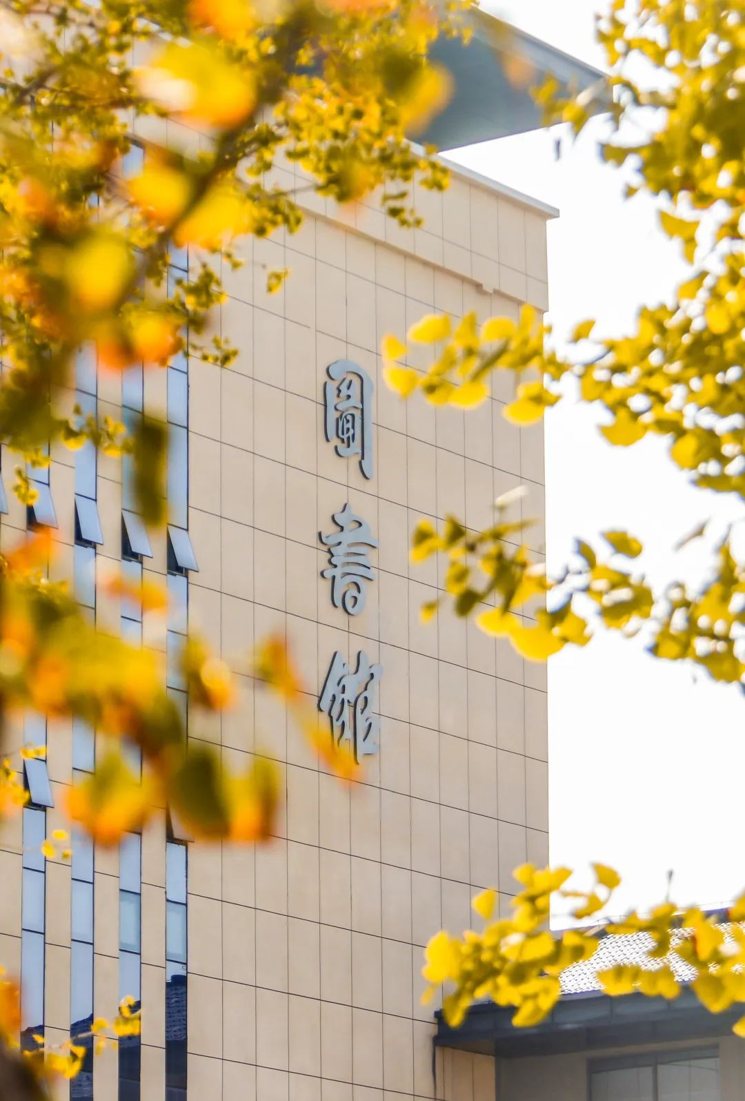 周末你好｜全新恩施學(xué)院秋日壁紙，無瑕！免費出！