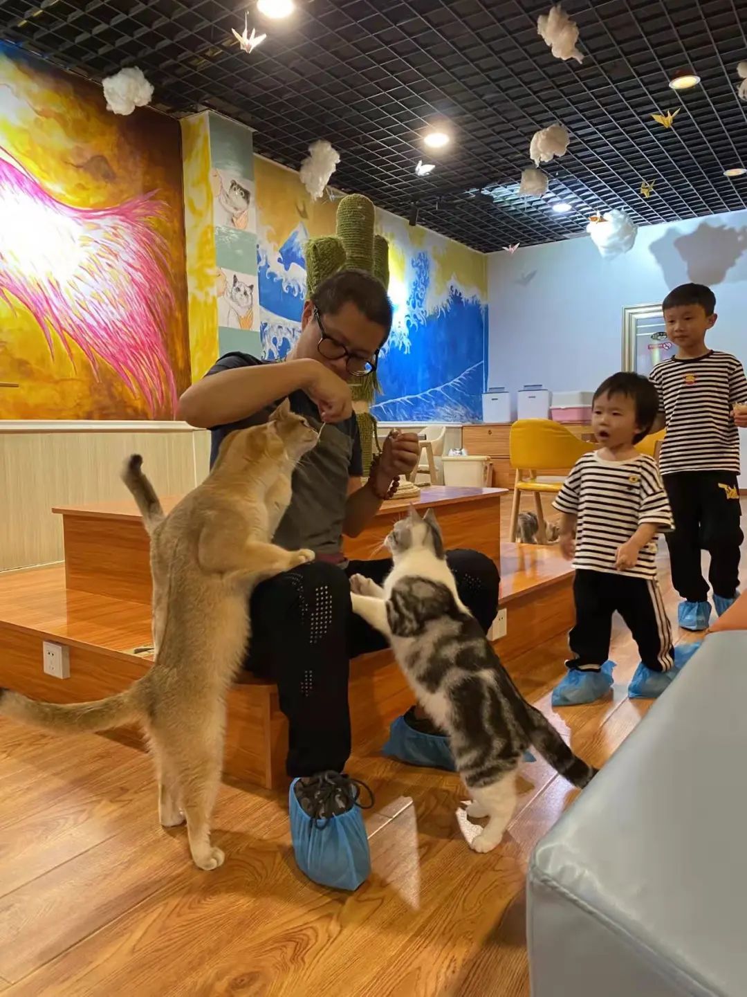 湖北恩施學(xué)院 湖北恩施學(xué)院