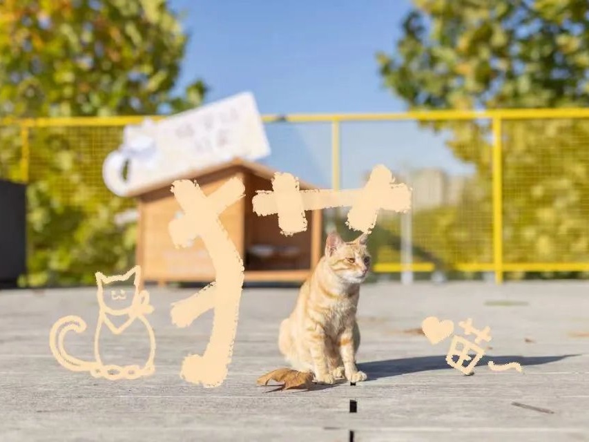 在恩施學(xué)院，做“涂鴉藝術(shù)家”！