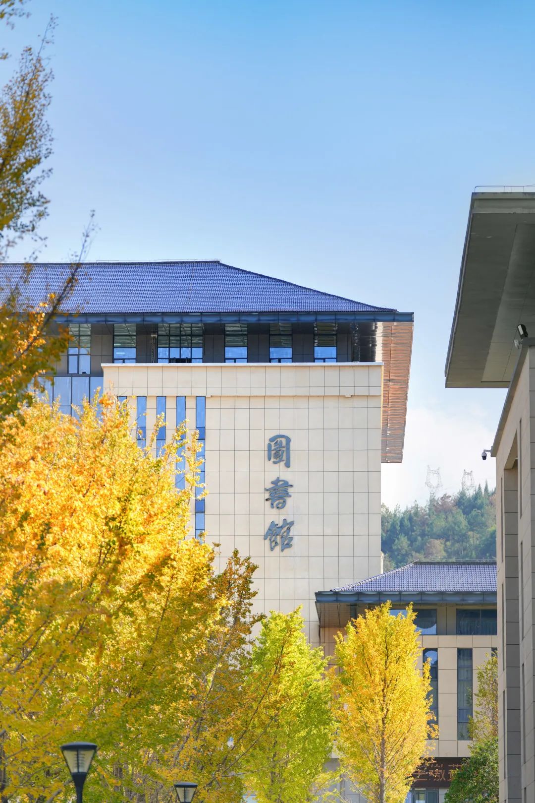 周末你好｜全新恩施學(xué)院秋日壁紙，無瑕！免費出！