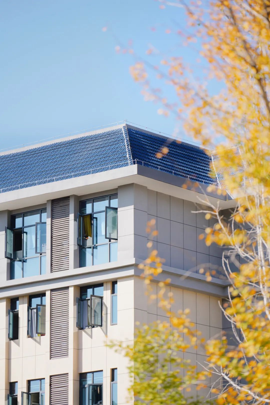 周末你好｜全新恩施學(xué)院秋日壁紙，無瑕！免費出！