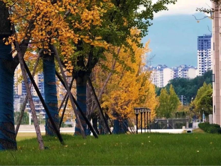 想見(jiàn)你 | 我想要兩顆西柚