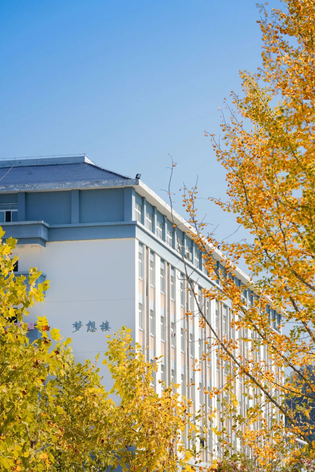 周末你好｜全新恩施學(xué)院秋日壁紙，無瑕！免費出！