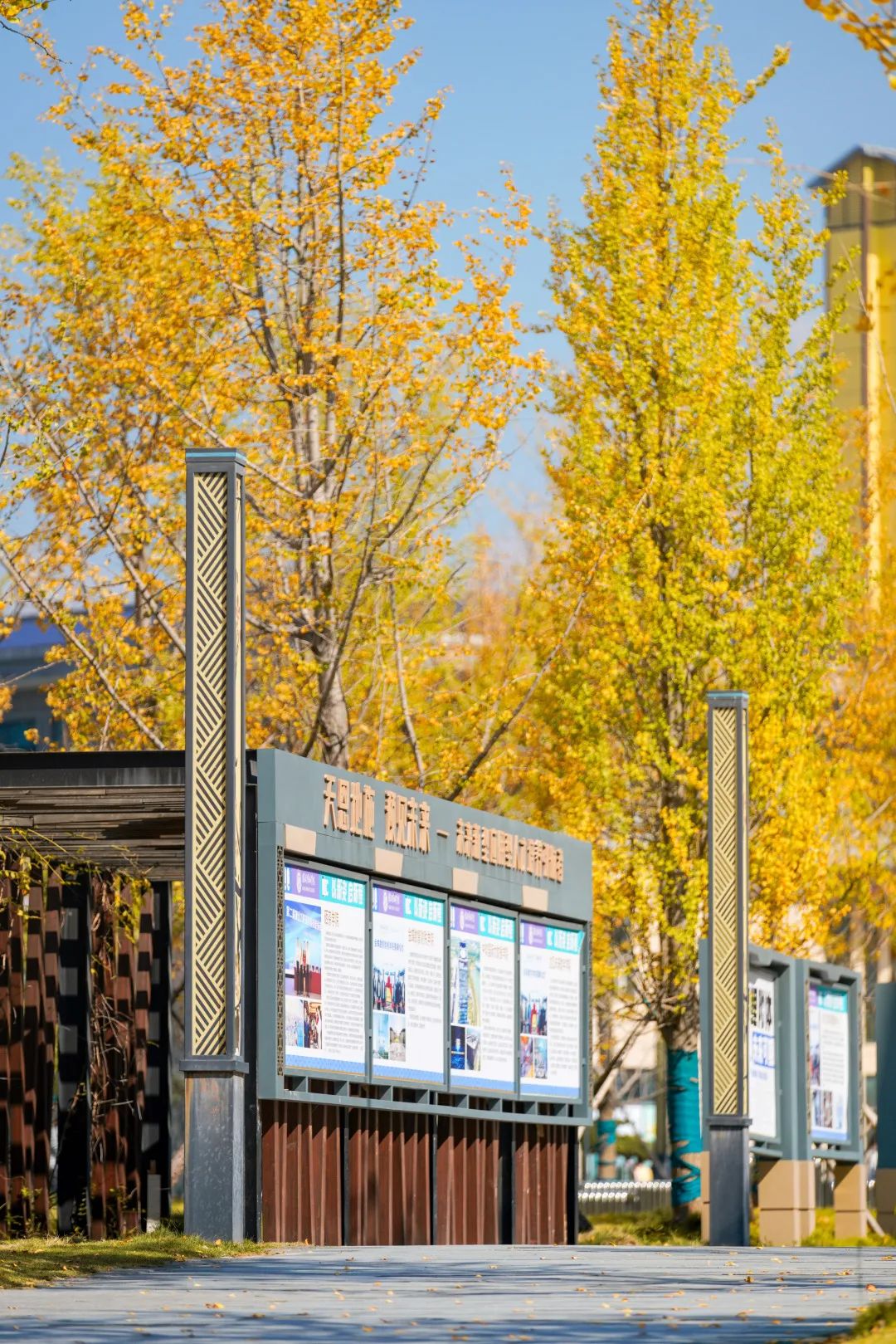 周末你好｜全新恩施學(xué)院秋日壁紙，無瑕！免費出！